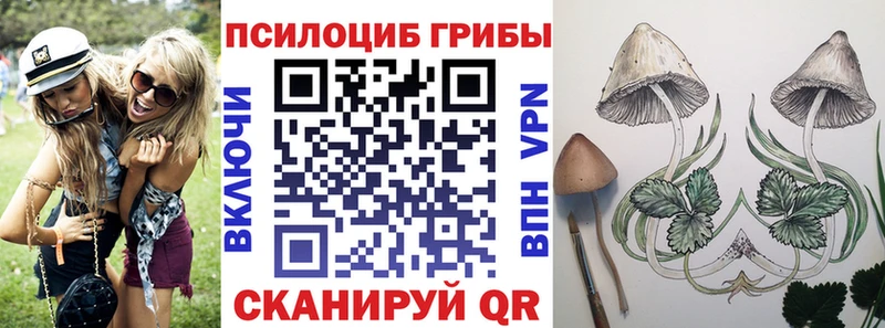 Галлюциногенные грибы Cubensis  Раменское 